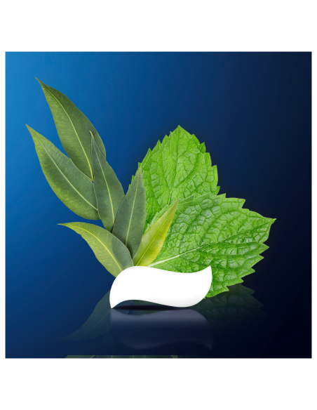 KAST 24 tk! Oral-B Professional Regenerate Enamel Daily Protection 75ml hambapasta