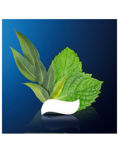 KAST 24 tk! Oral-B Professional Regenerate...