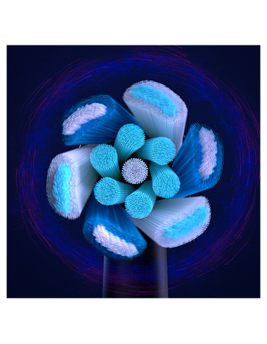 CB-6 Oral-B iO Ultimate Clean Black XL...